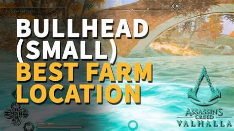 Bullhead Small Best Farm Location Assassin S Creed Valhalla Youtube