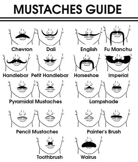 Printable Of Different Mustache Styles Mustache Styles Moustache