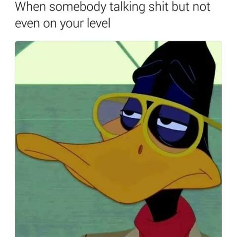 daffy duck meme know your meme simplybe