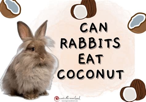Can Rabbits Eat Coconut Safely: The Best Advice & Tips