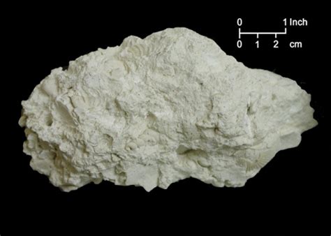 Evidence for biogenic graphite in early archaean isua. SEDIMENTARY ROCKS - ProProfs Quiz