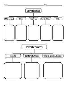 What are some examples of animals? Science worksheets, Vertebrates and invertebrates and ...