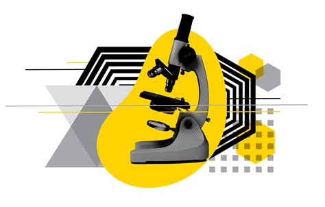 NDIS under the microscope | AEU News