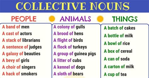 Collective Nouns What Is A Collective Noun Learn Extensive List Of