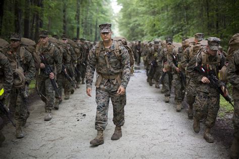 Marines Will Now Wear Woodland Green Camouflage Uniforms