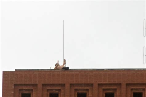 Usc Rooftop Sex Scandal Photos Of Kappa Sigma Fraternity Member Having Relations With Female On