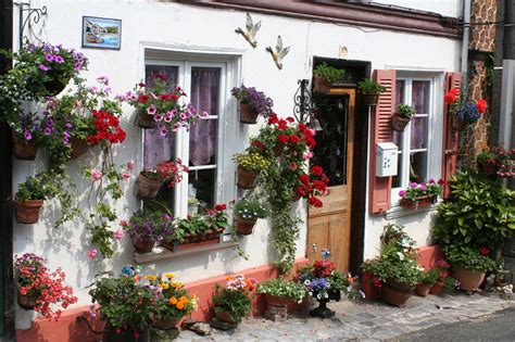 Me gustaria tener flores todo el año que me sugieres es un patio chico y no puedo poner plantas. Huertas y Jardines en Cordoba: Patios andaluces, una ...