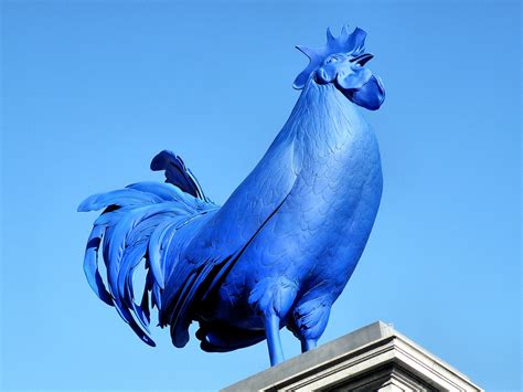 Hahn Cock Sculpture By Katharina Fritsch On The Fourth Pli Flickr