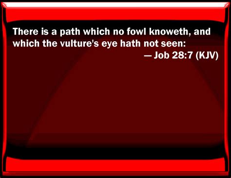 Job 287 There Is A Path Which No Fowl Knows And Which The Vultures