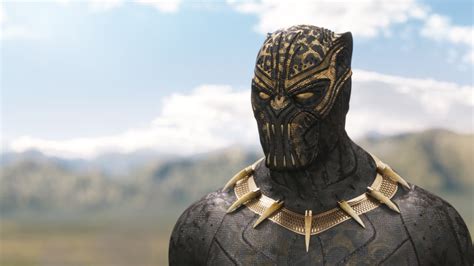 Everyone's chanting his name and dancing happily. 'Black Panther' and the Tragedy of Gatekeeping
