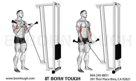 Best Biceps Cable Curls Variations And Workouts Born Tough