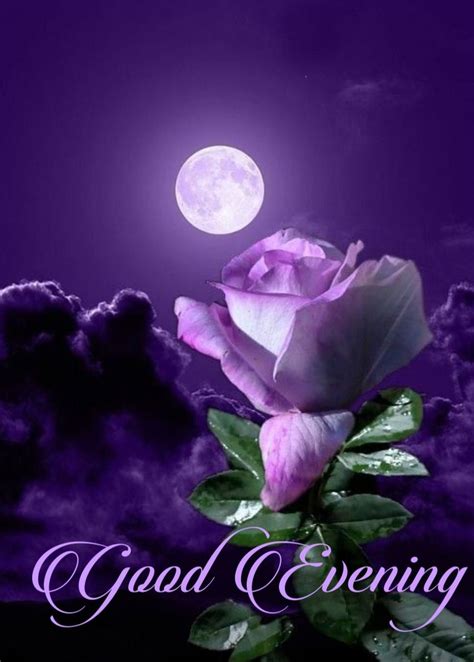 Maybe you would like to learn more about one of these? Good Evening | Beautiful moon, Moon flower, Moon photography