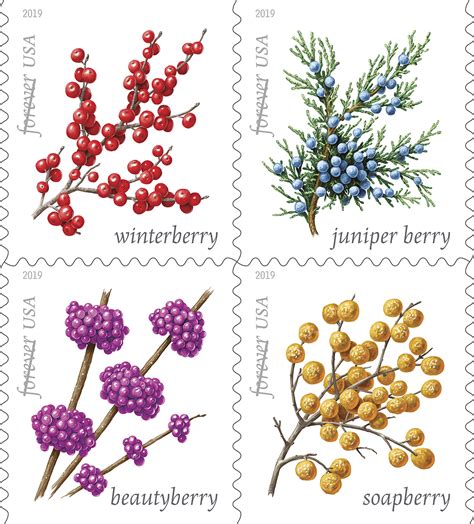 New Usps Forever Stamps Feature Winter Berries Pen Wordpress Blog