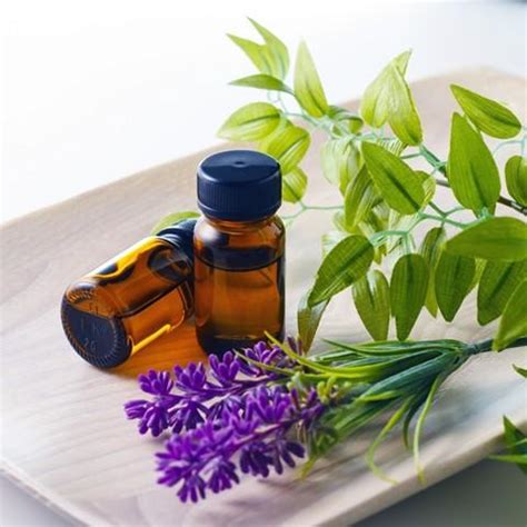 Sarasota, FL Massage Therapist | Hand & Stone Massage and ...