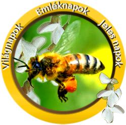 Ezen a napon nem csak… Világnapok - Emléknapok - Jeles napok - G-Portál