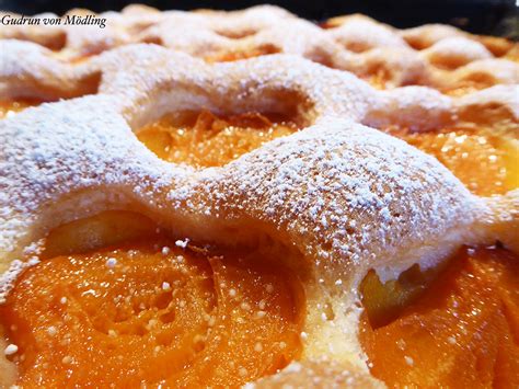 Becherkuchen mit heidelbeeren und joghurt. Omas Marillenkuchen vom Blech - Gudrun von Mödling