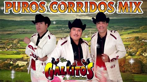 Los Gallitos De Chihuahua Corridos Con Tololoche 2022 2023 Youtube