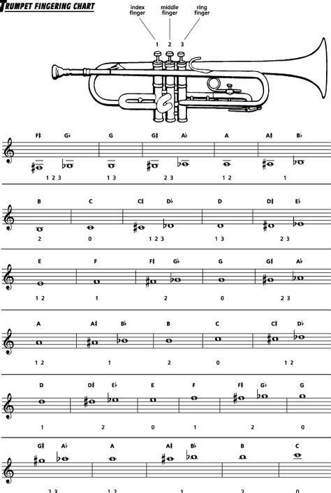 Trumpet Finger Chart Voice Lesson Ukulele Lesson Trumpet Fingering