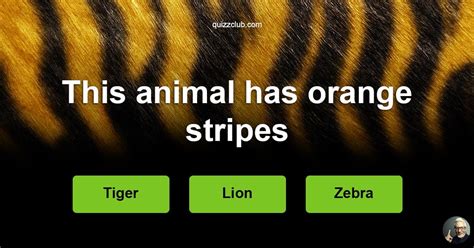 Can You Recognize The Animal By One Trivia Quiz Quizzclub