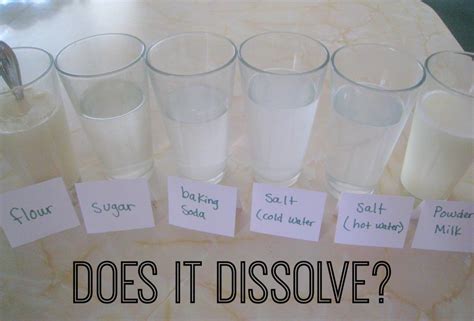 Dissolving Science Experiment- What Dissolves in Water? - Teach Beside Me