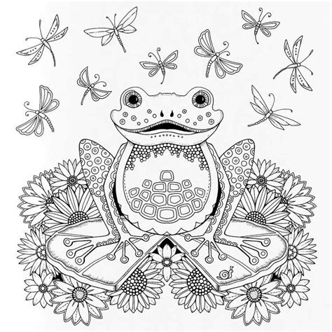 Related image | Frog coloring pages, Coloring books, Coloring pages