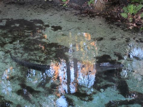 These stays are highly rated for location, cleanliness, and more. Dave's Yak Tales: Sweetwater Cabin, Juniper Creek, Salt ...