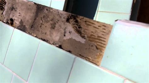 If you see mold behind shower tiles, think twice about diy repairs. www.restezpropertyservices.com explains hazard of mold ...