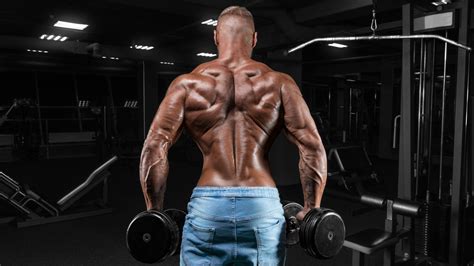 The Best Trap Workout Scaled For Every Experience Level Barbend