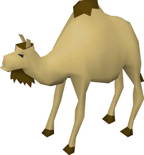 He was born in 2005 in hawaii and is a son of a famous tiktoker jason coffee. Cam the Camel | Old School RuneScape Wiki | FANDOM powered ...