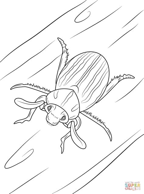 June Bug Page Coloring Pages