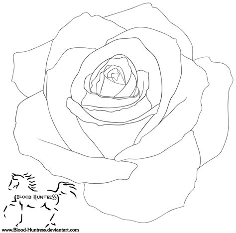 PNG Rose Outline Transparent Rose Outline.PNG Images ... The image is png format and has been processed into transparent background by ps tool.