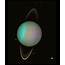 Uranus In Taurus The Seven Steps Toward 2025 – TPS English