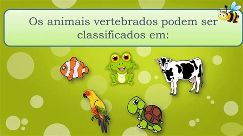 animais vertebrados e invertebrados youtube
