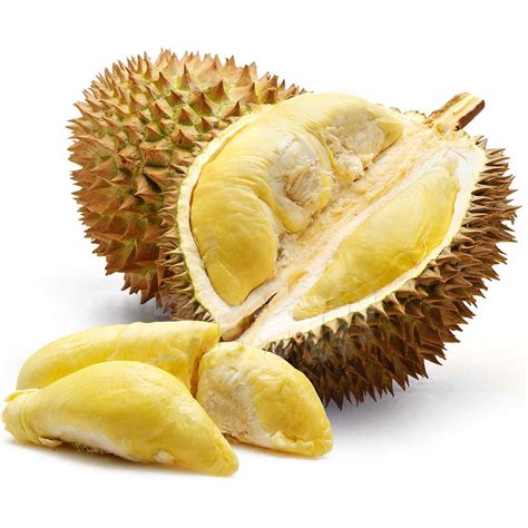 Teman saya di kebun divaksin dan kembali dan makan durian keesokan harinya dan meninggal. Durian - Si raja buah yang menakutkan tapi bermanfaat ...