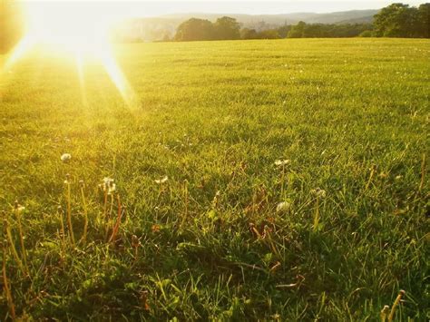 Sunshine is a 2007 science fiction psychological thriller film directed by danny boyle and written by alex garland. Sunshine Wallpapers HD Download