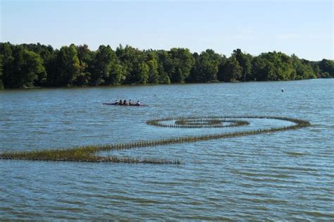 Lake forest luxury log cabins. Lake Fayetteville - ATUALIZADO 2020 O que saber antes de ...