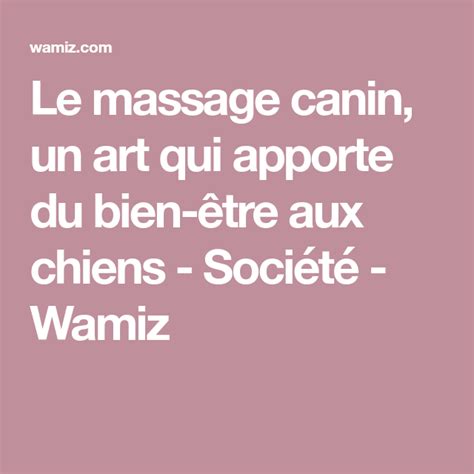 Le Massage Canin Un Art Qui Apporte Du Bien être Aux Chiens Société