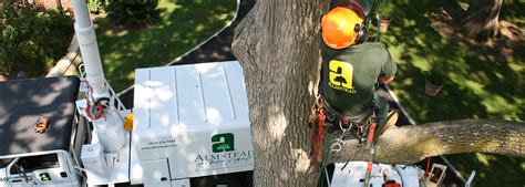 At the airgun centre we can supply a wide range of rifles that use the buddy bottle system or rifles like the airarms tdr that can be broken down and stored out of sight. Tree Care Services