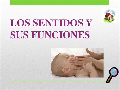 Ppt Los Cinco Sentidos Powerpoint Presentation Free Download Id