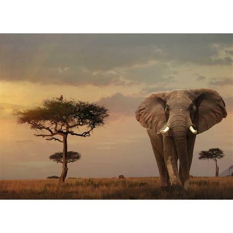 Brio @ ravensburger · sale Elephant of the Massai Mara 1000 Piece Jigasw Puzzle ...