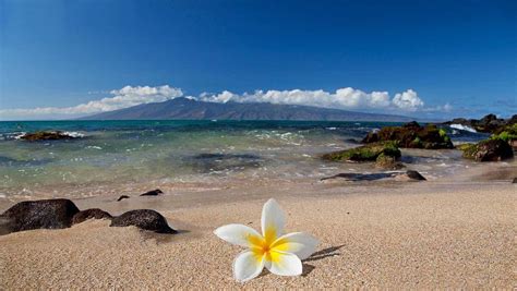Maui Hawaii Desktop Wallpaper 47 Images
