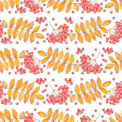 Autumn Leaves And Red Rowan Berries Watercolor Seamless Pattern Stock