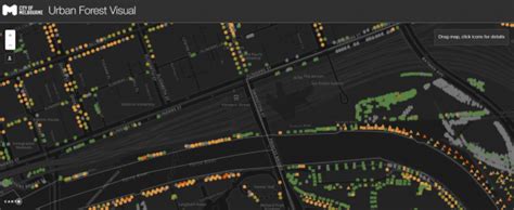 Melbourne Urban Forest Visual Gold Winner 2019 Gov Design Awards