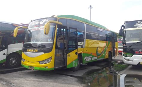 Bus Sari Indah Bisnis Cepat Transportasi Terbaik Untuk Perjalanan Anda Community Saint Lucia