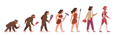 Woman Evolution Female Development Stages From Monkey To Robot Grad