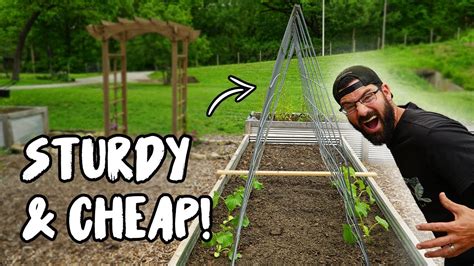 Diy Trellis For Cucumbers In A Raised Garden Bed Youtube