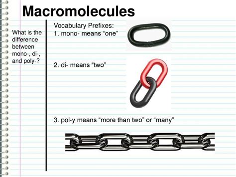 Macromolecules Vocabulary Prefixes 1 Mono Means One” Ppt Download