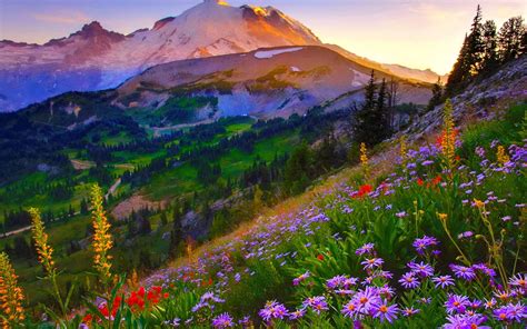Mount Ranier Sunrise 2560 X 1600 Mount Rainier National Park