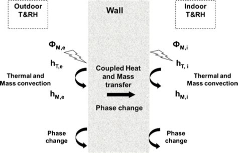 Schematic Diagram Of Heat And Mass Transfer Model Download Scientific