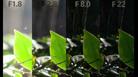 What Is Aperture Shutter Speed And Iso Basics Of